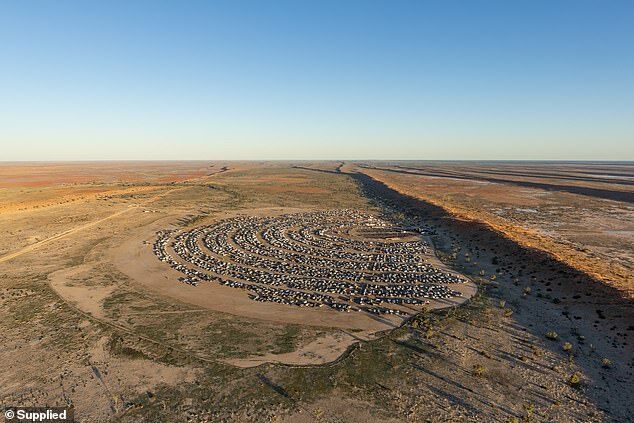 Birdsville Big Red Bash Cancelled for 2025, Plans to Return in 2026 After Tough Decision