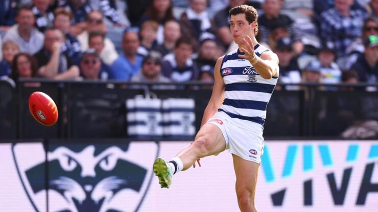 Geelong Confirms Tom Hawkins and Cam Guthrie Ruled Out for AFL Preliminary Final Against Brisbane