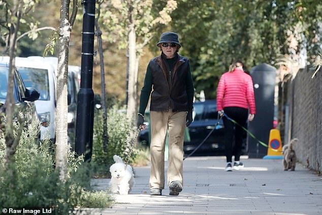 Mick Hucknall Spotted Walking His Dog in London, Unrecognizable Before 40th Anniversary Tour