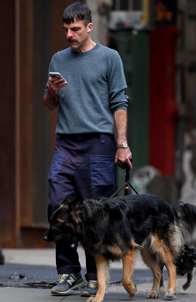 Zachary Quinto Spotted Incognito While Walking Dogs in New York City After Years of Fame