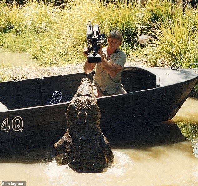 Terri Irwin Reflects on 18 Years of Grief for Steve Irwin and Their Lasting Wildlife Legacy