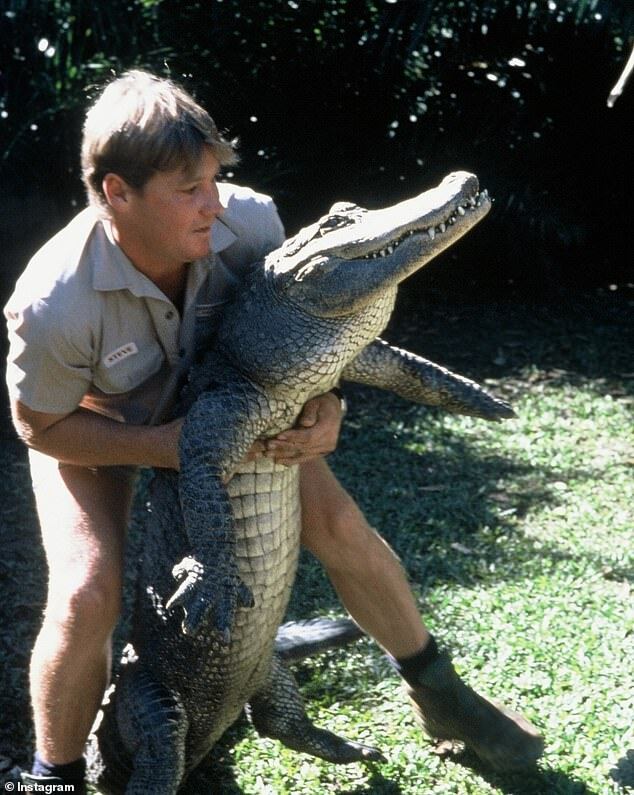 Terri Irwin Reflects on 18 Years of Grief for Steve Irwin and Their Lasting Wildlife Legacy