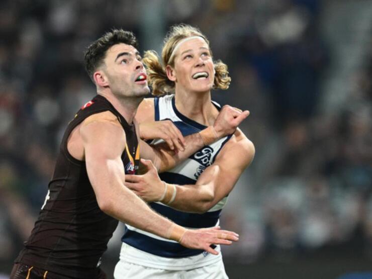 Geelong Confirms Tom Hawkins and Cam Guthrie Ruled Out for AFL Preliminary Final Against Brisbane