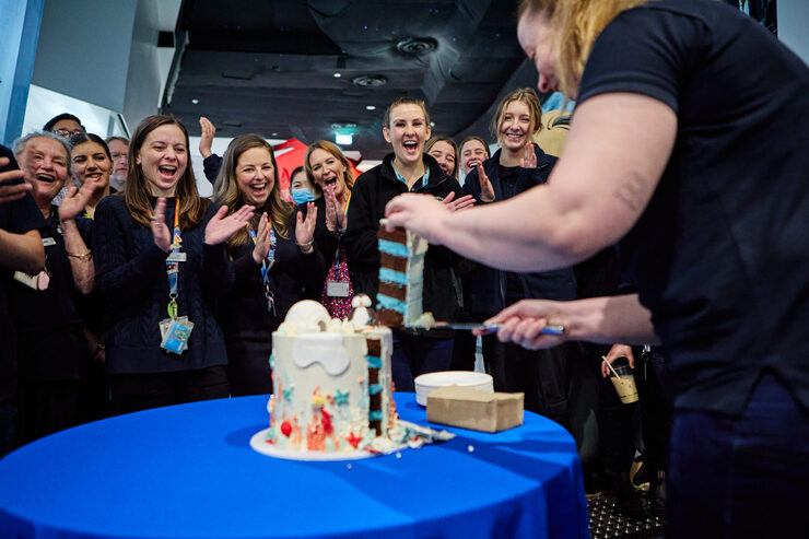 World's Largest Baby Penguin Pesto Celebrates Gender Reveal at Melbourne Aquarium