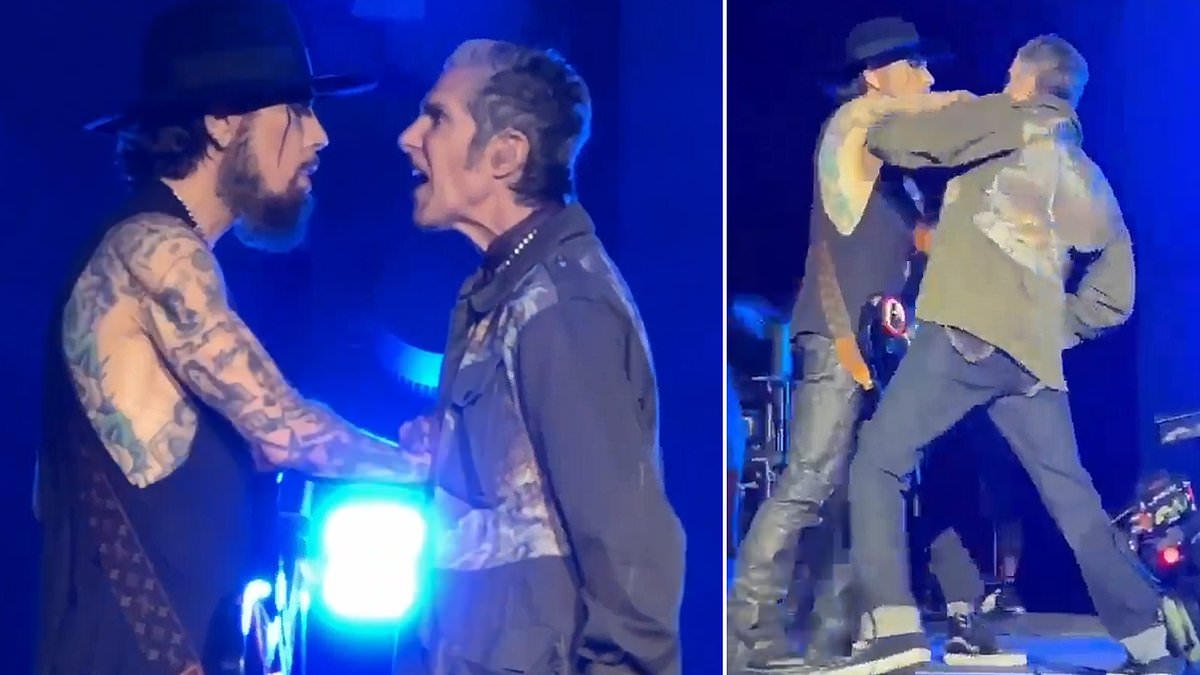 Lead Singer of Jane’s Addiction Punches Guitarist Mid-Performance, Concert Abruptly Ends