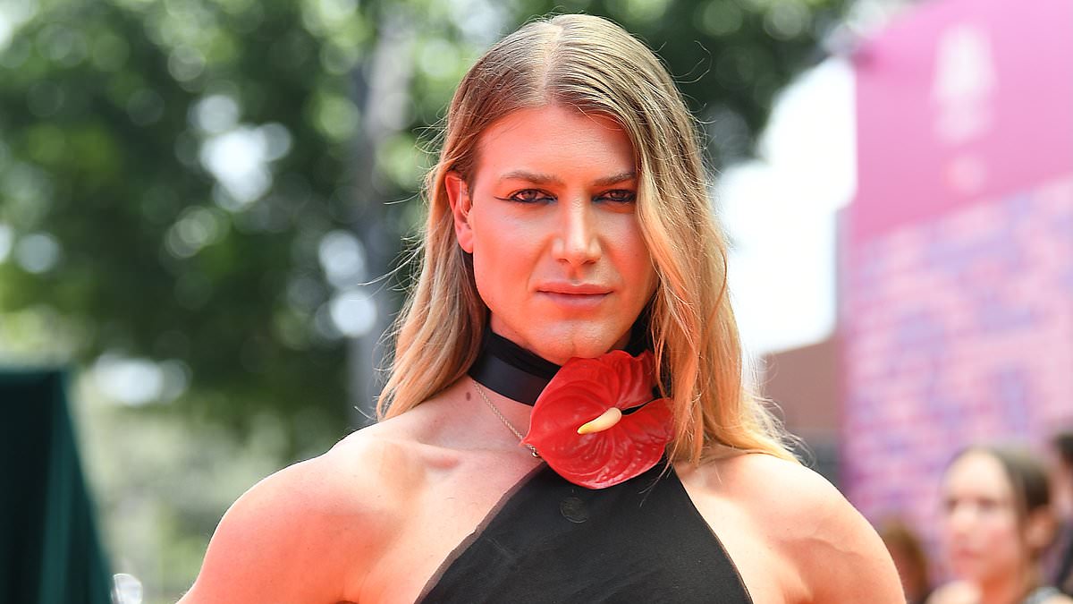 Christian Wilkins Stuns in Black Dress at 2024 Aria Awards, Joining Stylish Lucia Hawley